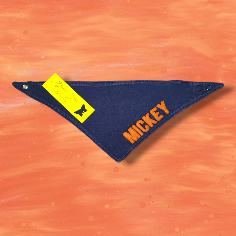 Accessory - Disney Baby