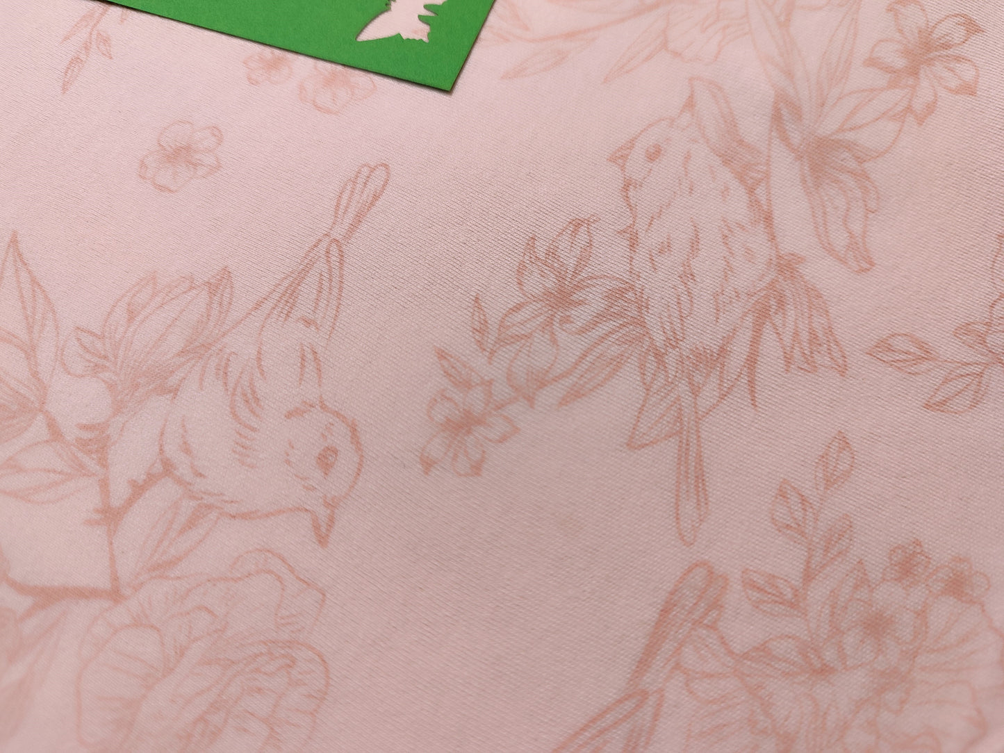 Short Sleeve Bodysuit - No Brand