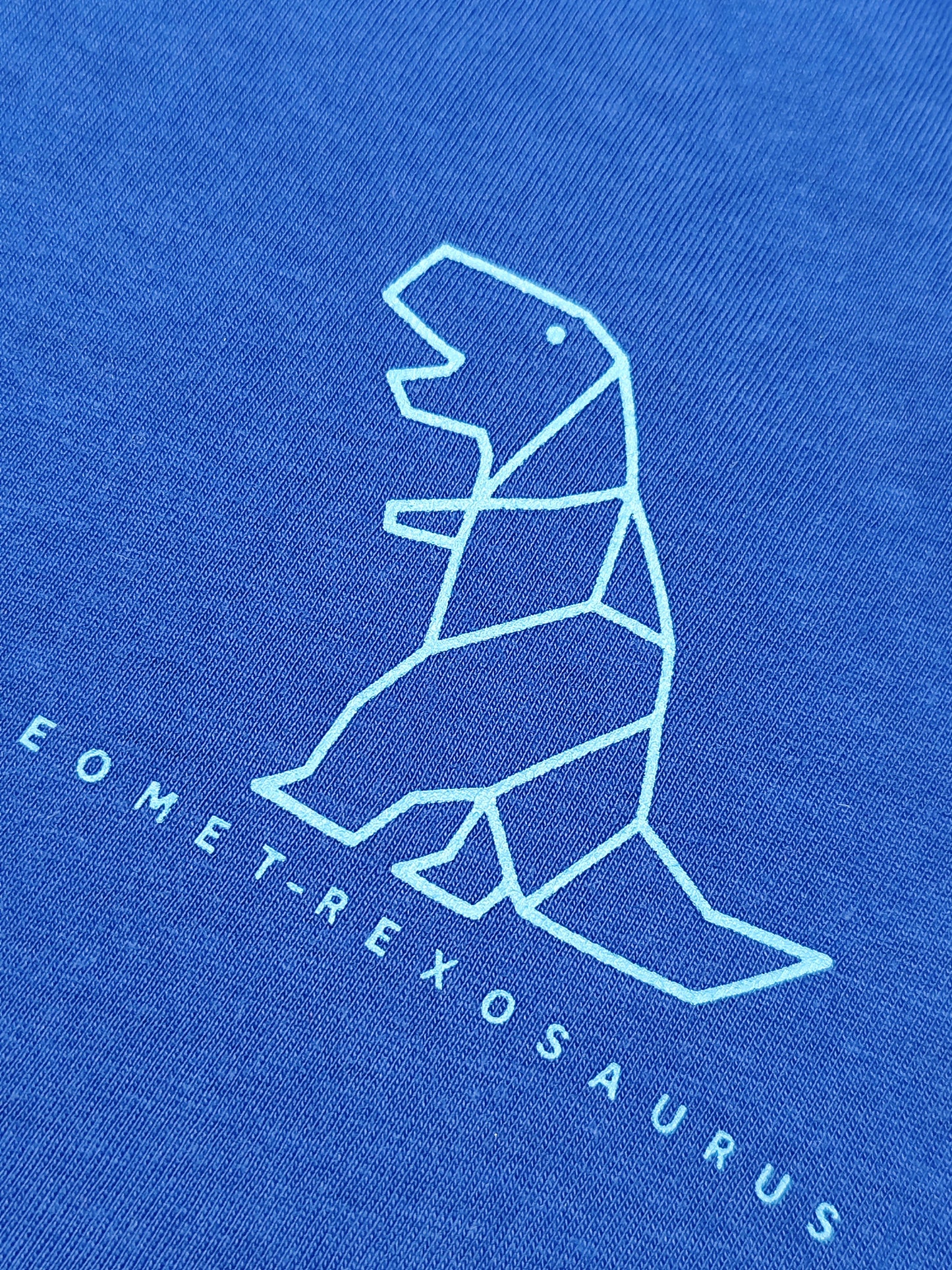 Lightweight Crewneck Sweatshirt - Petit Bateau