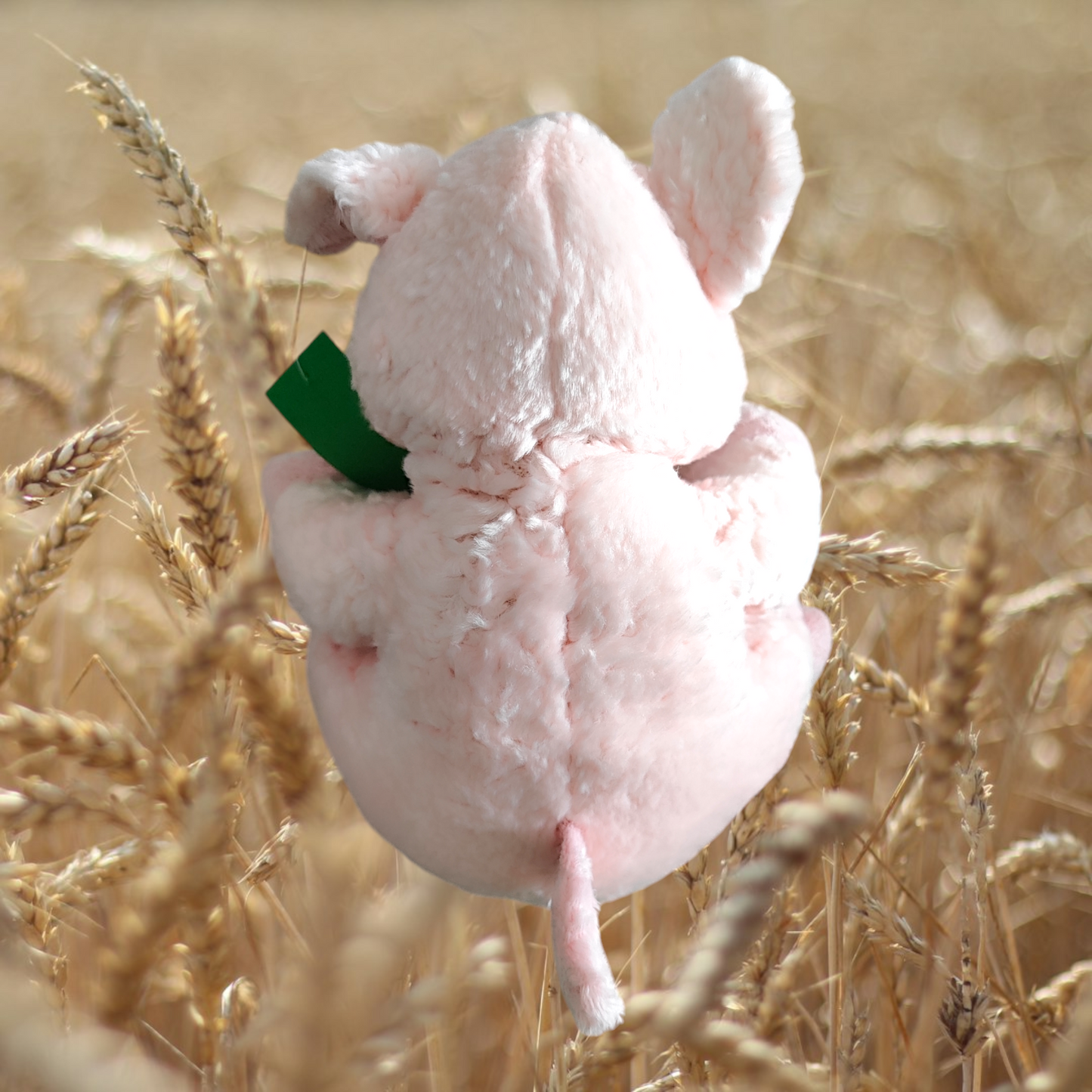 Porcellino Peluche - Morbidelli De. Car