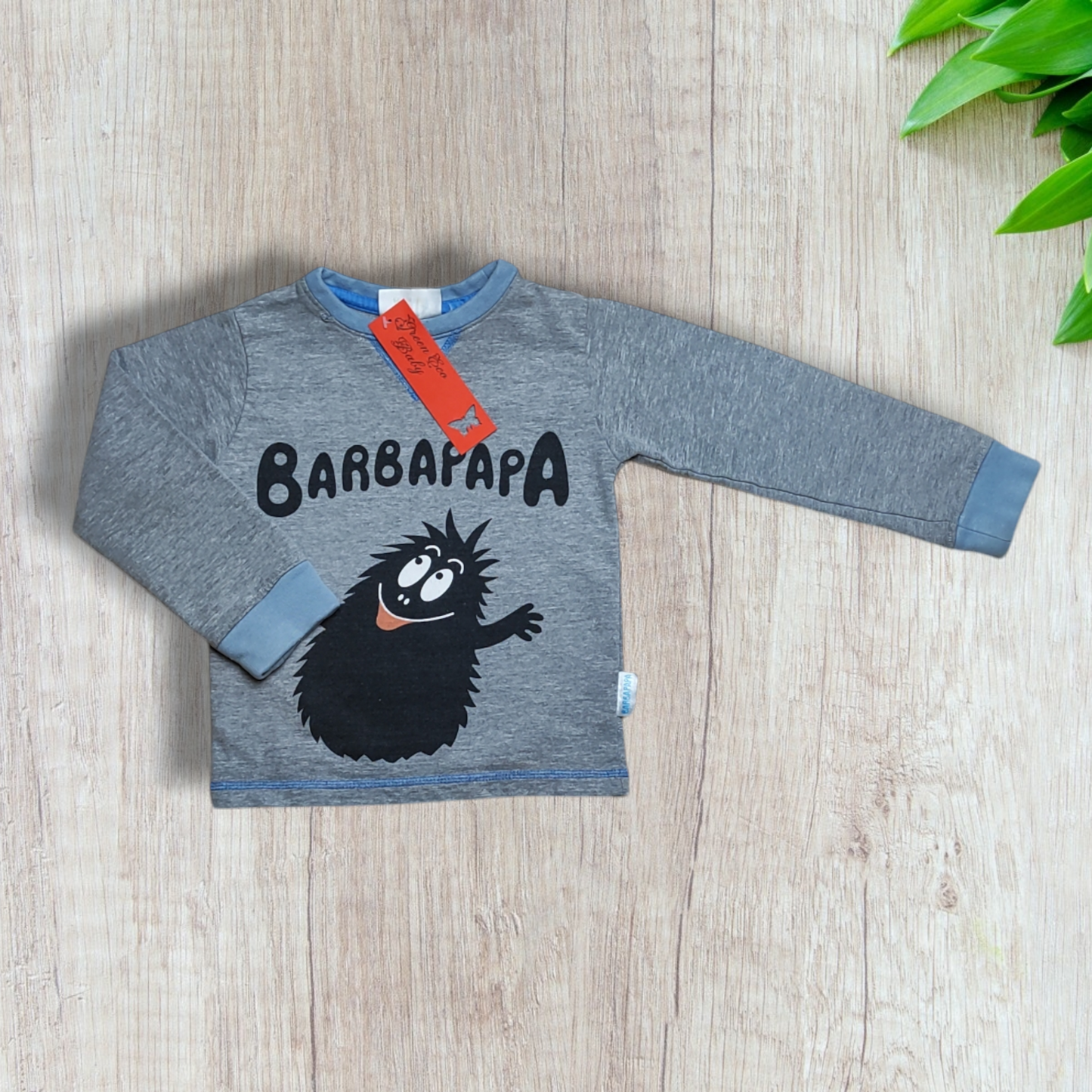 Felpa girocollo - Barbapapà