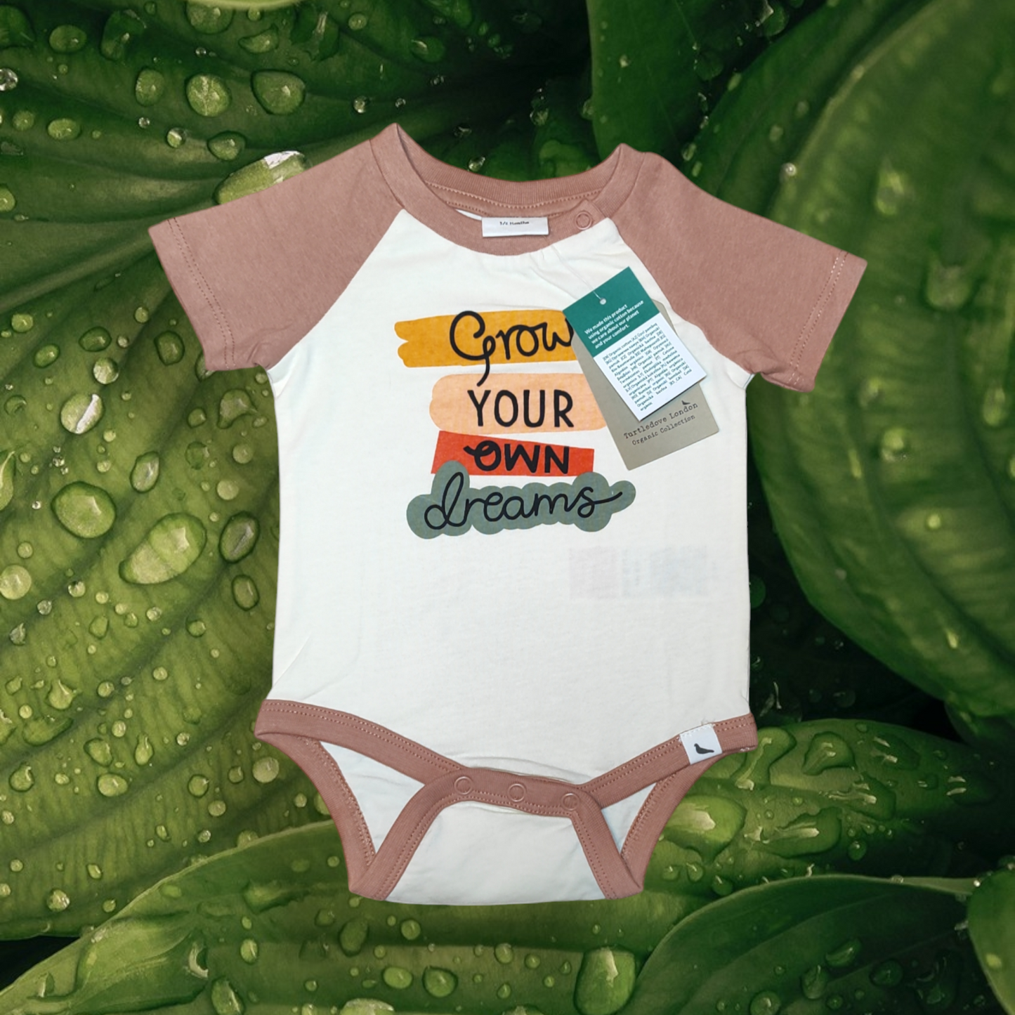 Short Sleeve Bodysuit - Turtledove London