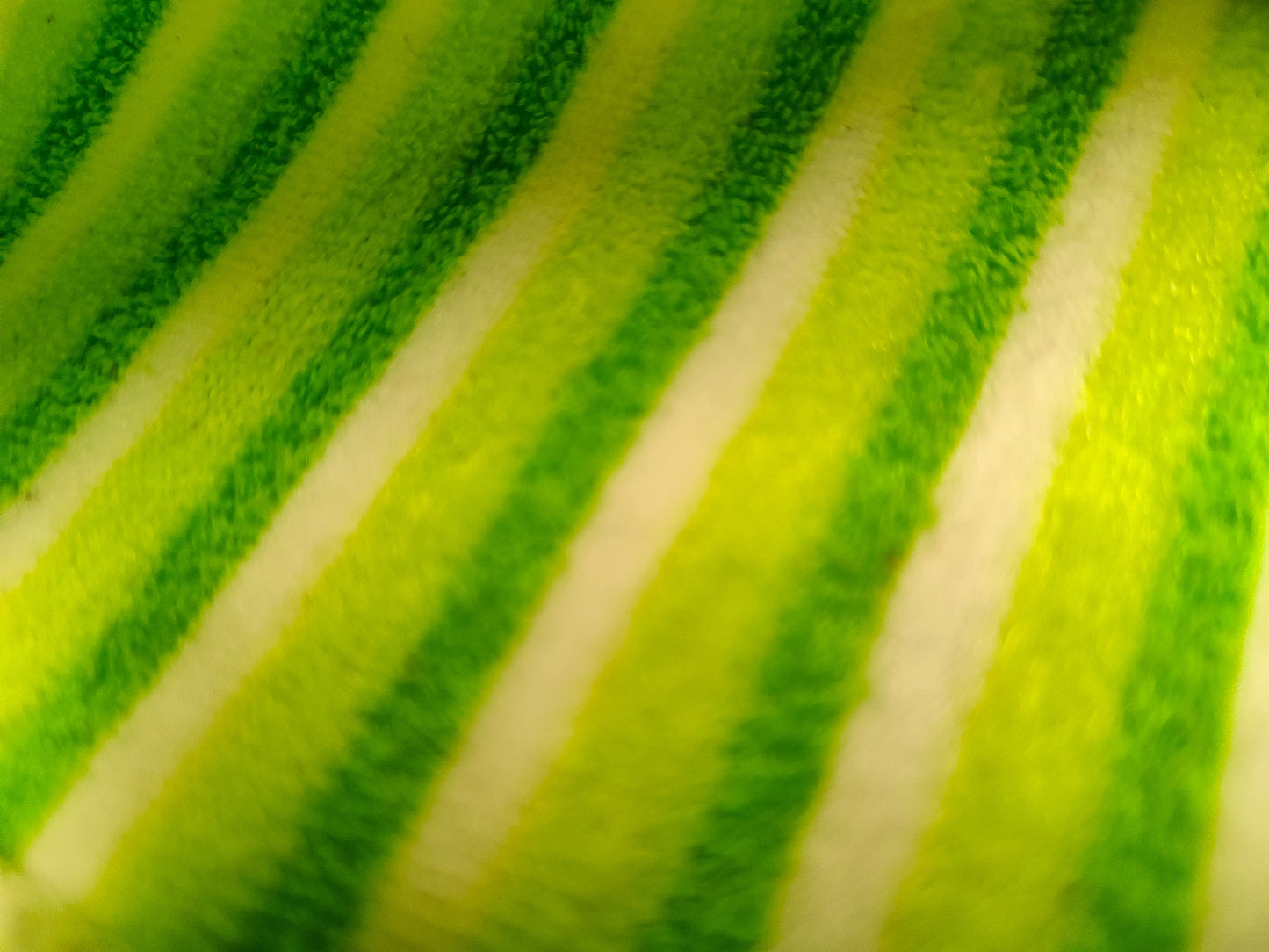 Cuffietta Verde