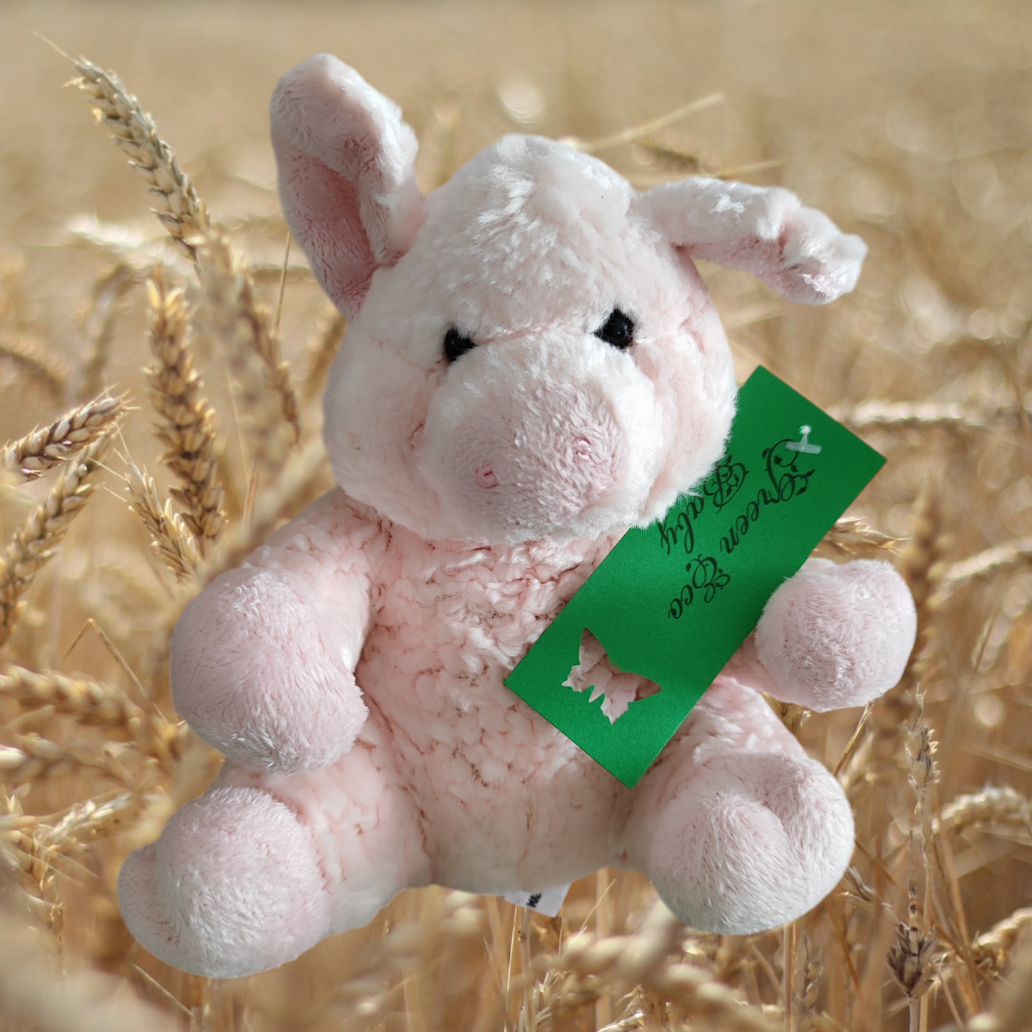 Porcellino Peluche - Morbidelli De. Car