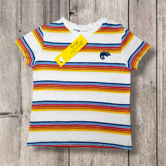 Short Sleeve T-Shirt - Fagottino